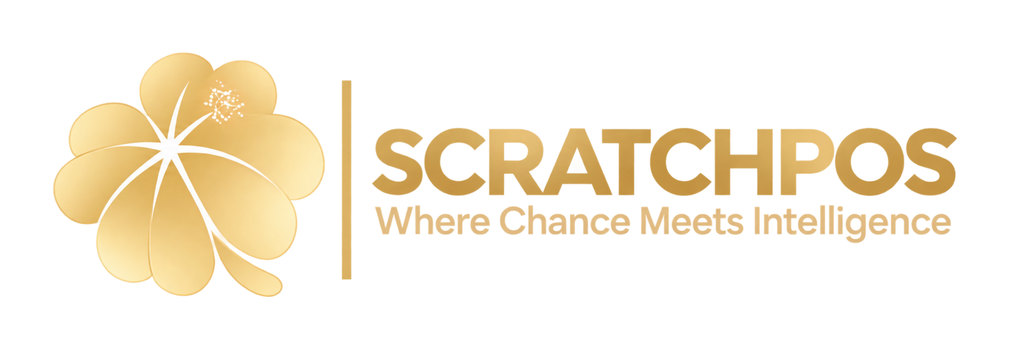ScratchPOS